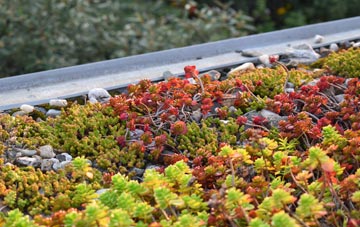 the cost of South Petherwin green roof installation