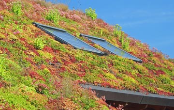 South Petherwin living roof systems