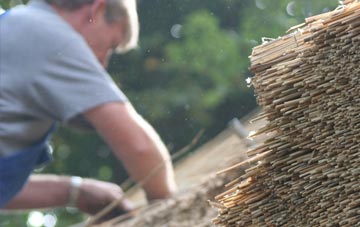 professional South Petherwin thatchers